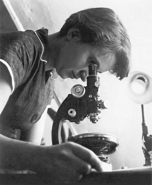 Rosalind Elsie Franklin blickt durch ein Mikroskopp